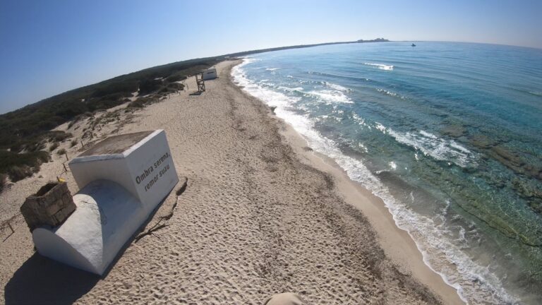 IMAGEN SOBRE NOSOTROS